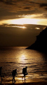   Tenggol Island Malaysia. finished my last dive waited sun set. Divers were still coming water when shot this. (Malaysia). (Malaysia) set this  
